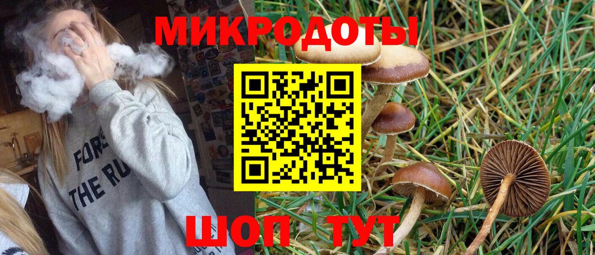 Егорьевск  Псилоцибиновые грибы GOLDEN TEACHER  Вход с VPN 