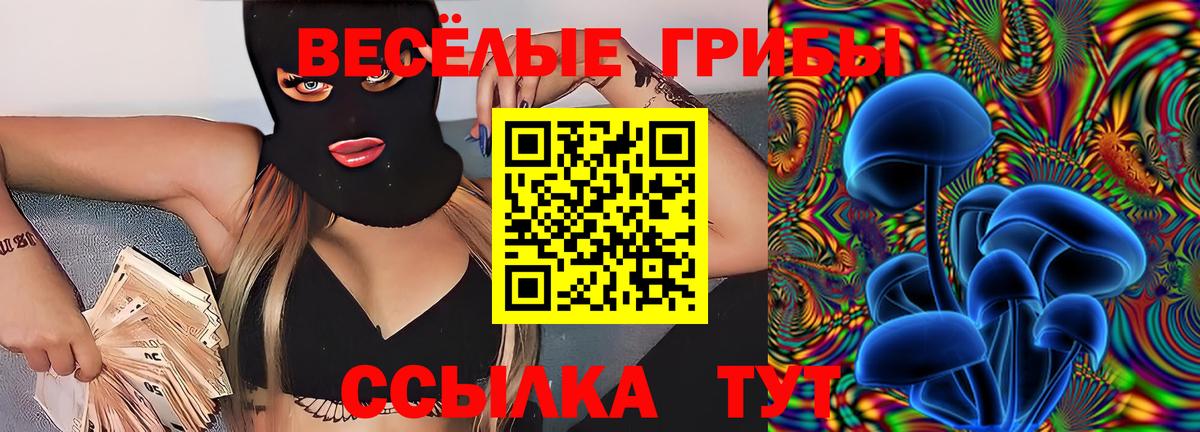 Псилоцибиновые грибы Psilocybine cubensis Егорьевск